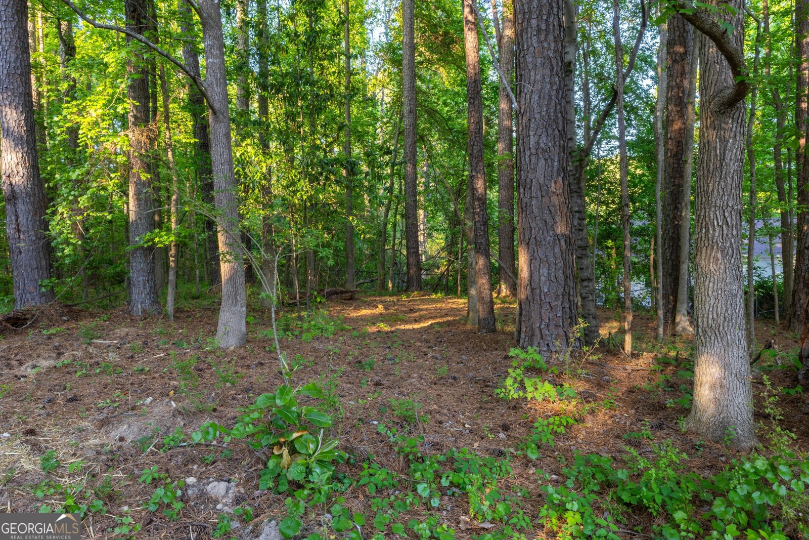 230 Whitney Way Fayetteville - Photo 42