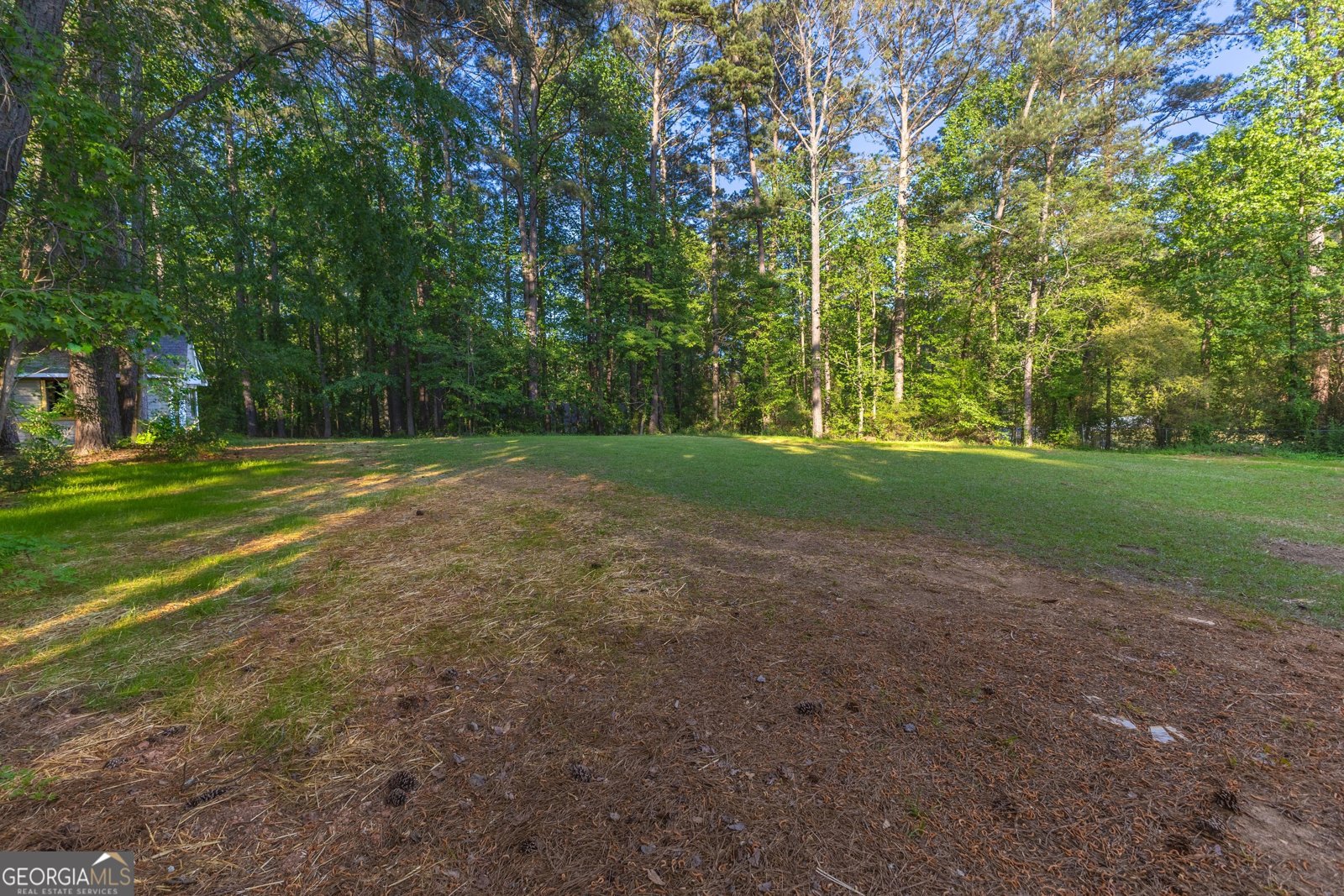 230 Whitney Way Fayetteville - Photo 43