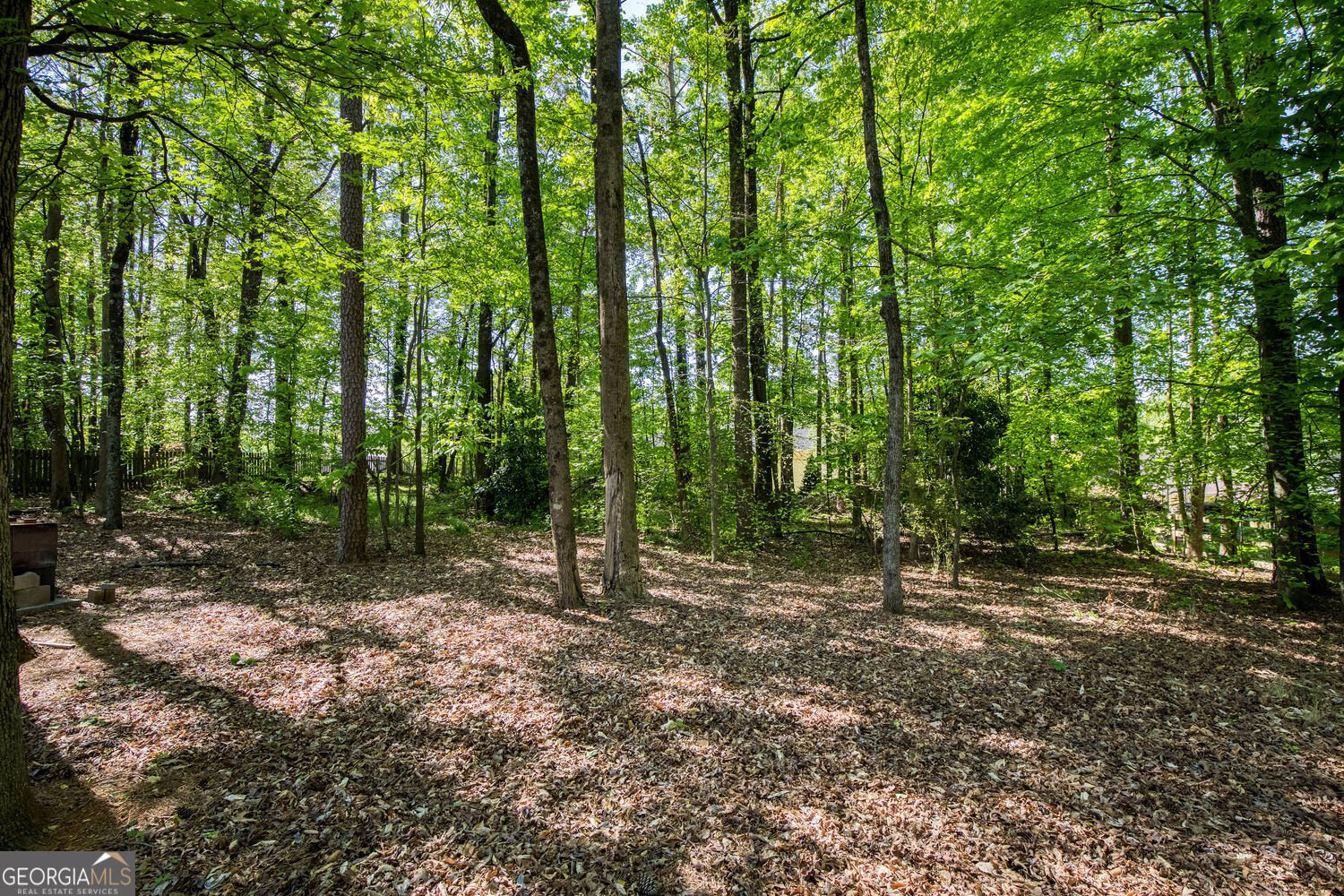 1850 Bitternut Lane Cumming - Photo 60