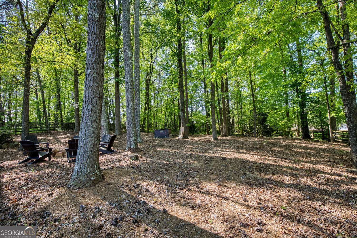 1850 Bitternut Lane Cumming - Photo 61