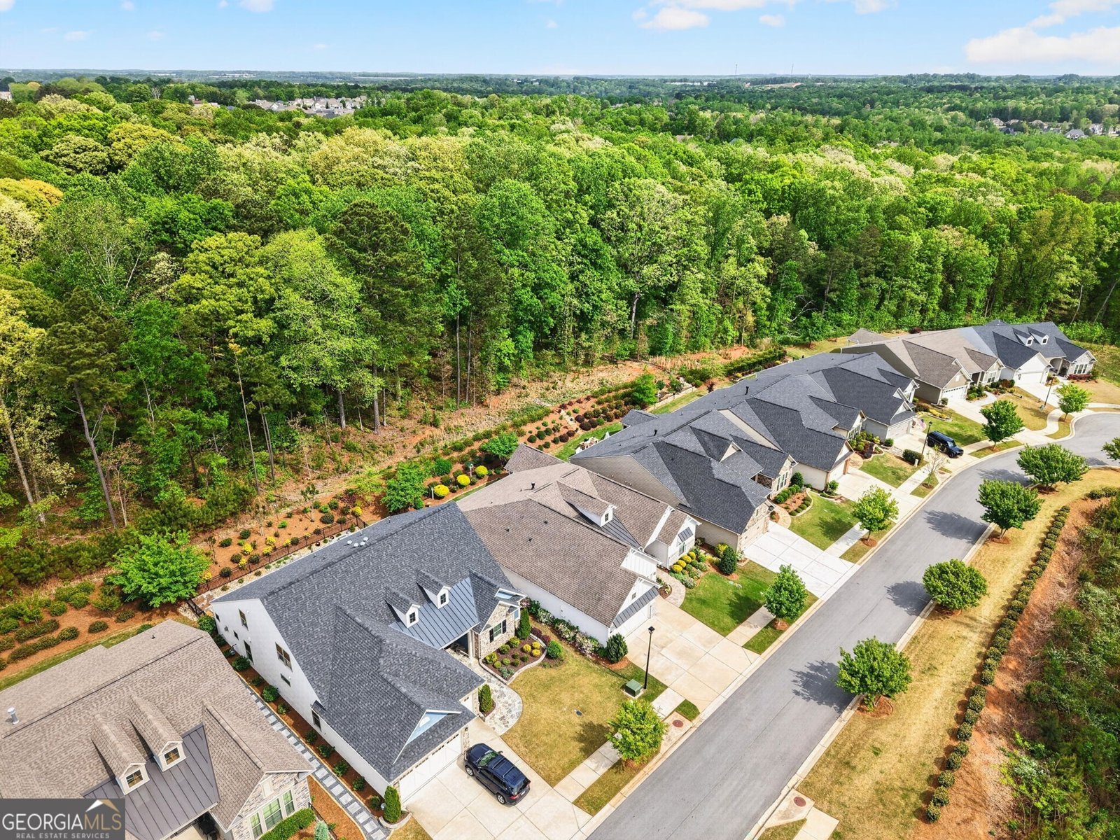 5645 Willow Springs Place Hoschton - Photo 60