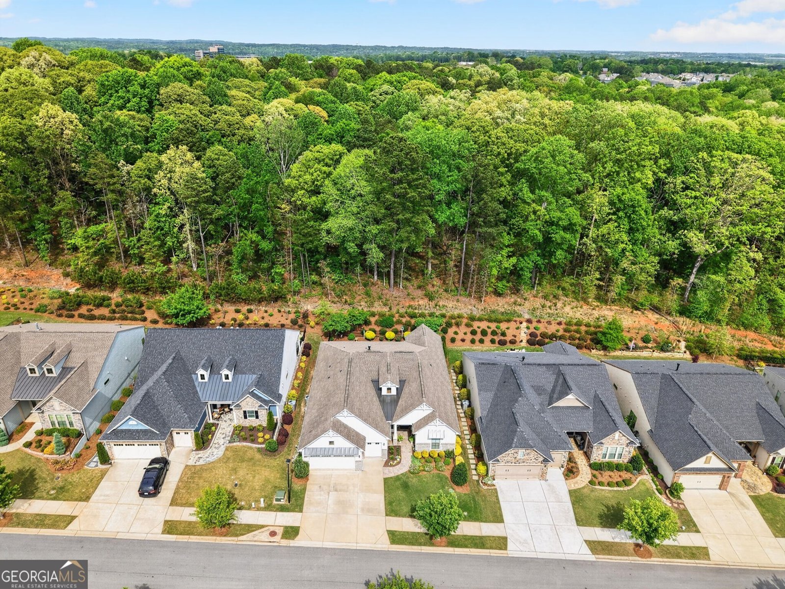 5645 Willow Springs Place Hoschton - Photo 61