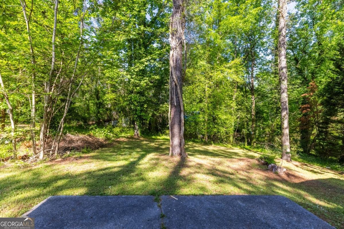 4485 Fowler Lane Snellville - Photo 42