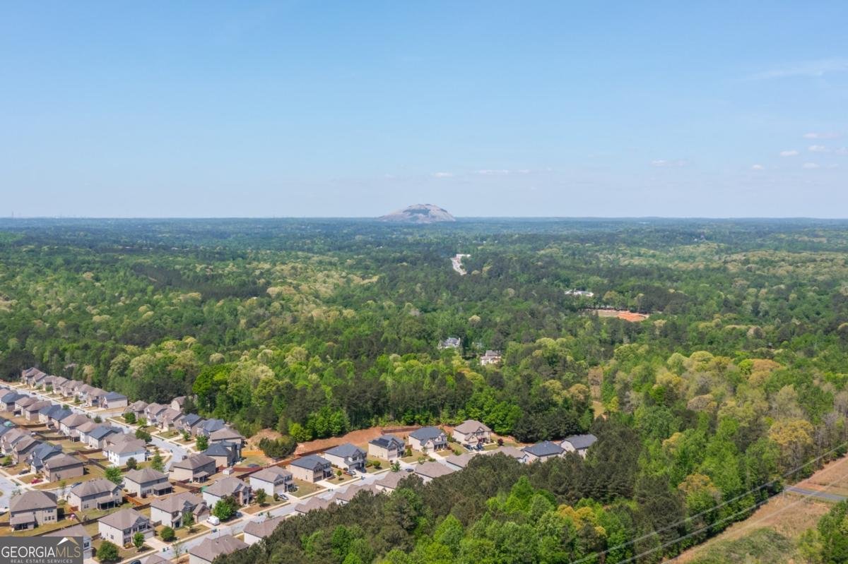 4485 Fowler Lane Snellville - Photo 50