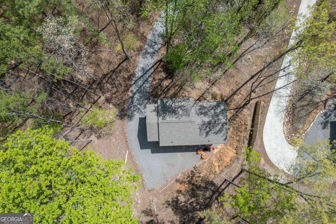 164 Echo Lane Ellijay - Photo 44