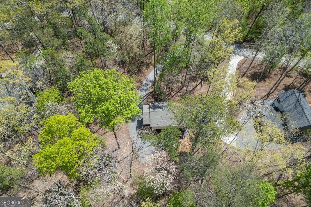 164 Echo Lane Ellijay - Photo 45