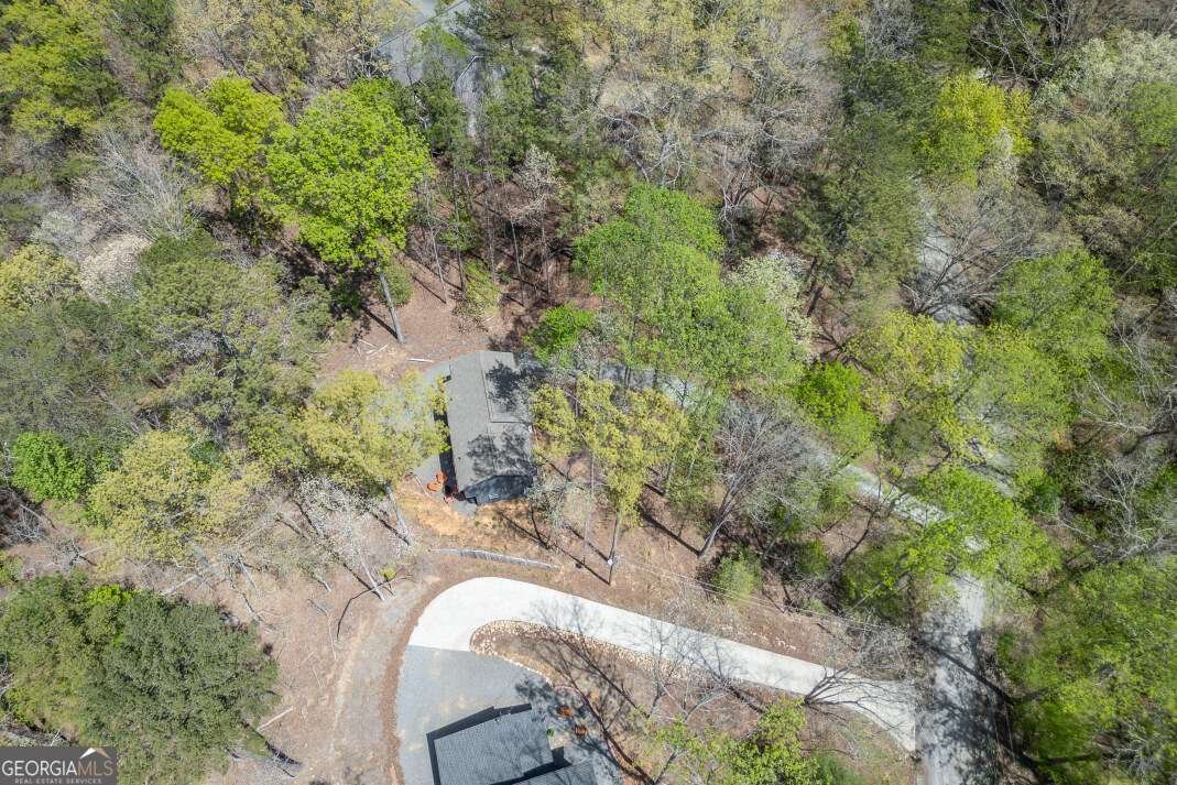 164 Echo Lane Ellijay - Photo 46