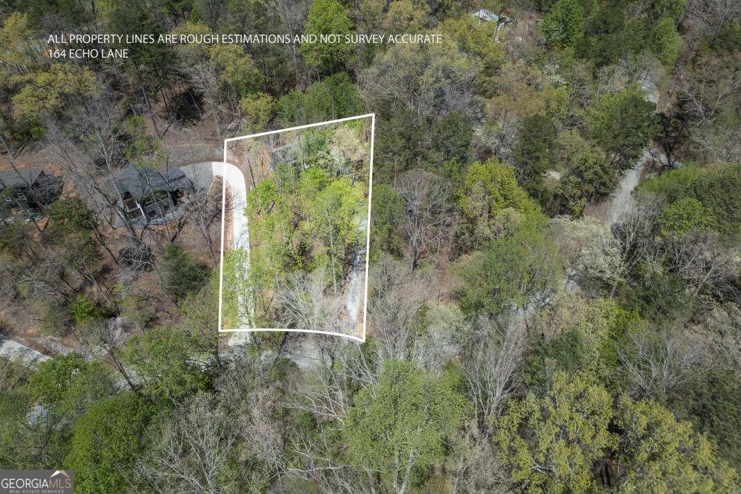 164 Echo Lane Ellijay - Photo 47