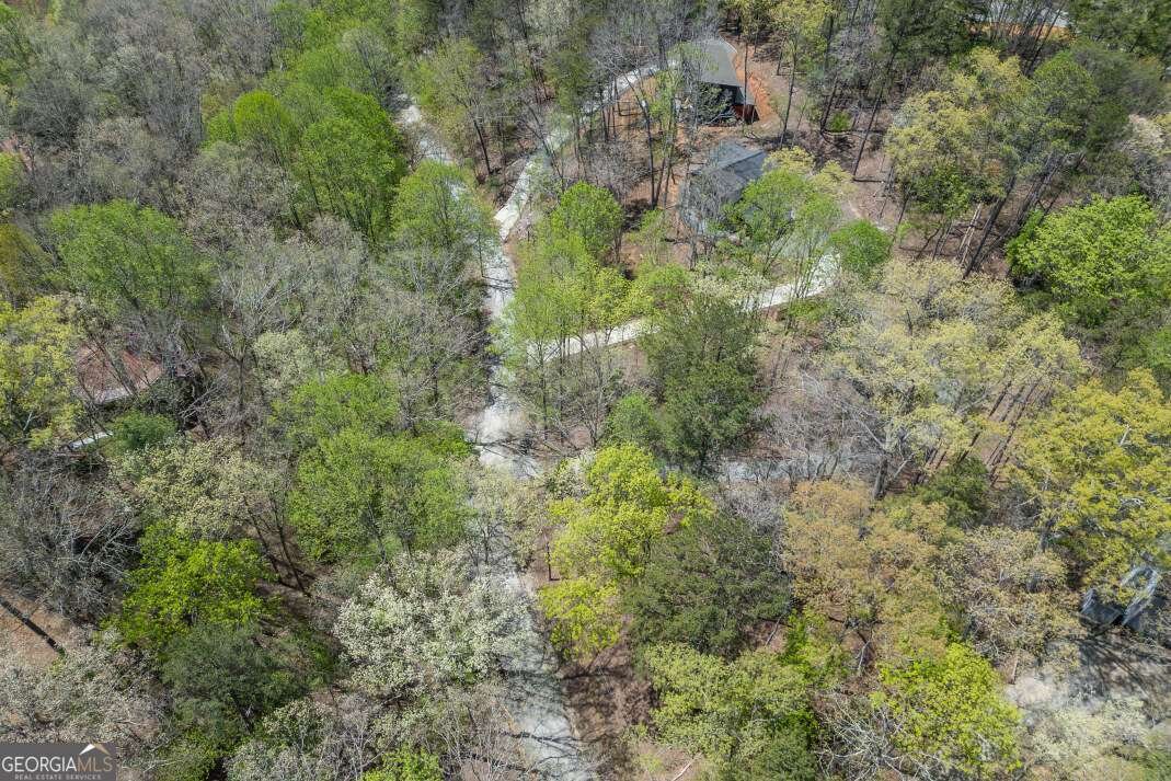 164 Echo Lane Ellijay - Photo 48