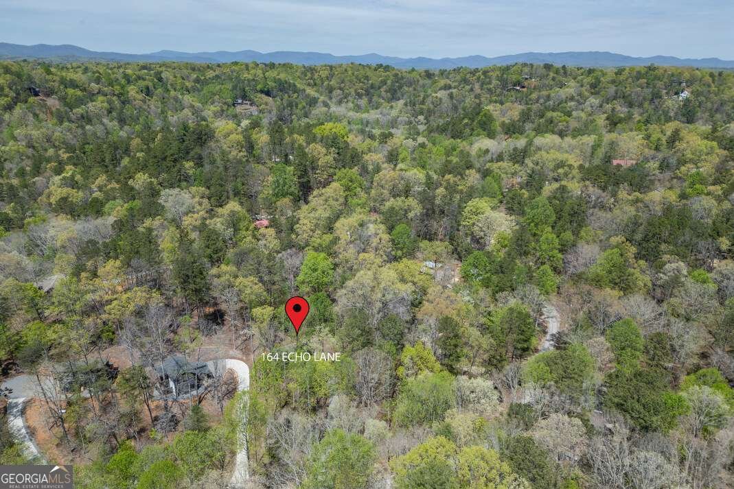 164 Echo Lane Ellijay - Photo 49