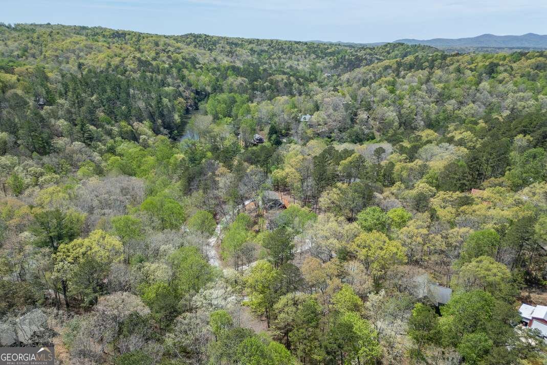 164 Echo Lane Ellijay - Photo 50