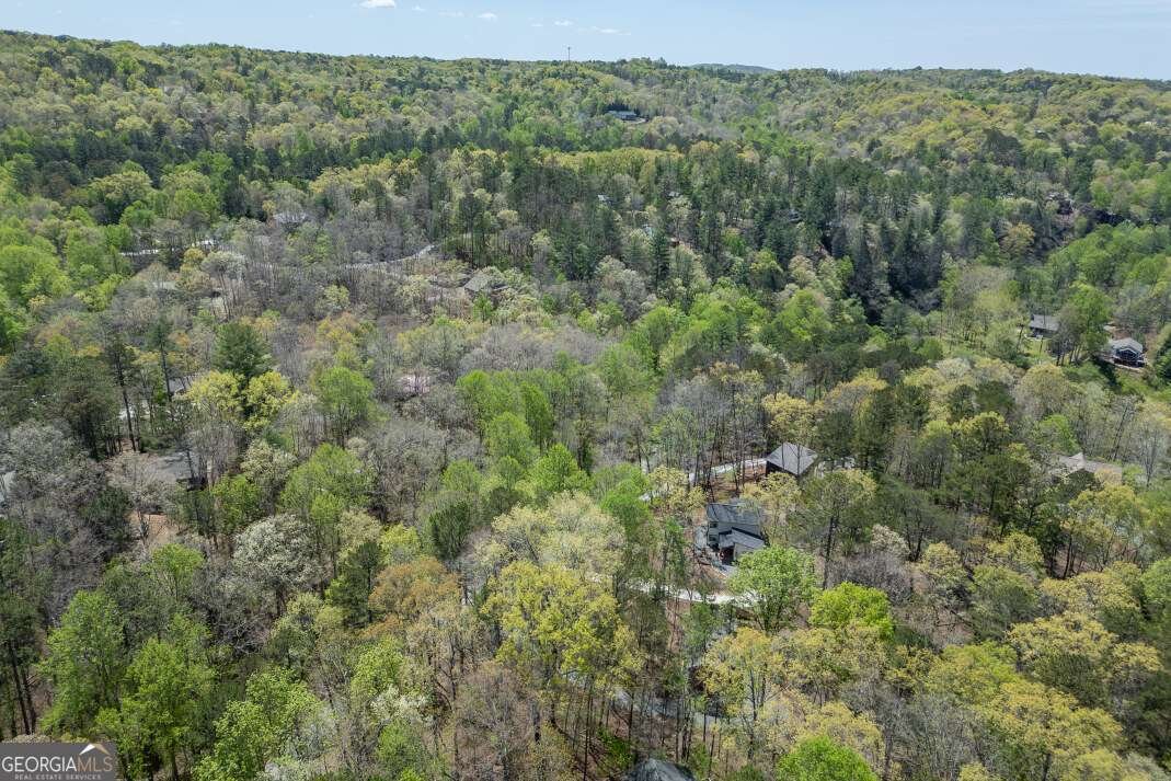 164 Echo Lane Ellijay - Photo 51