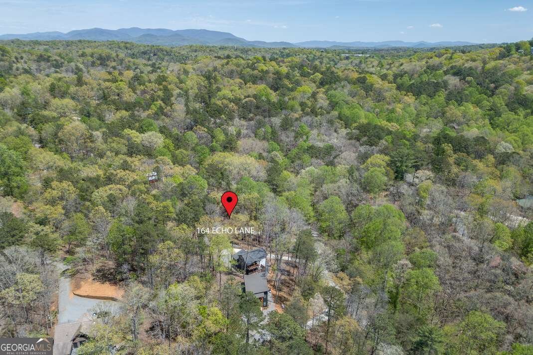 164 Echo Lane Ellijay - Photo 53
