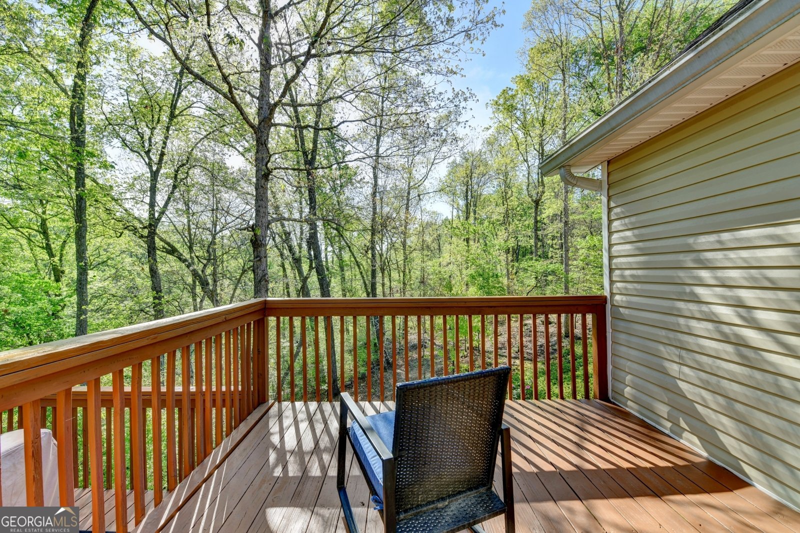 124 Edgewater Court Braselton - Photo 72