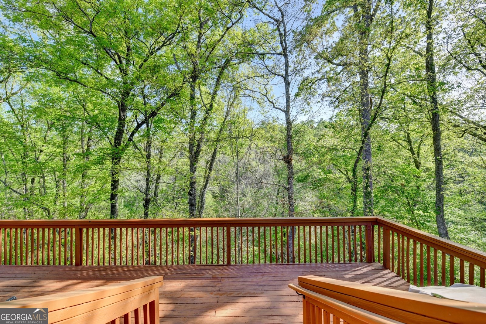 124 Edgewater Court Braselton - Photo 73