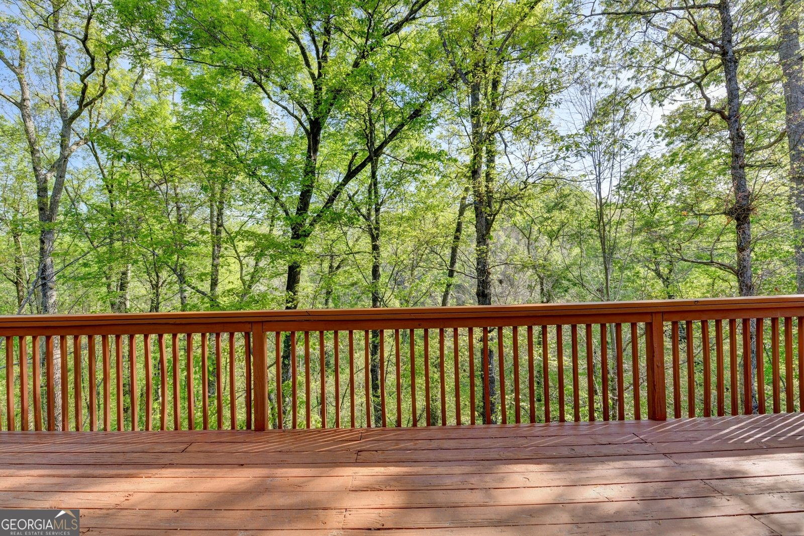 124 Edgewater Court Braselton - Photo 77