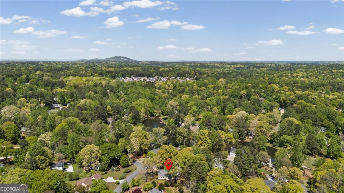 3182 Wicks Lake Drive Marietta - Photo 47