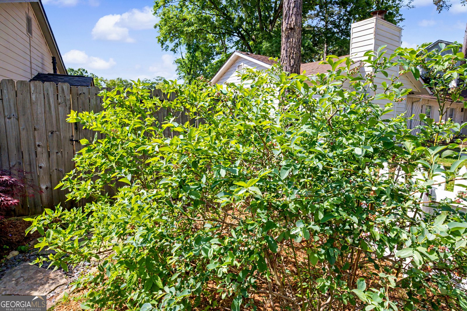 1606 Walker Street Smyrna - Photo 41