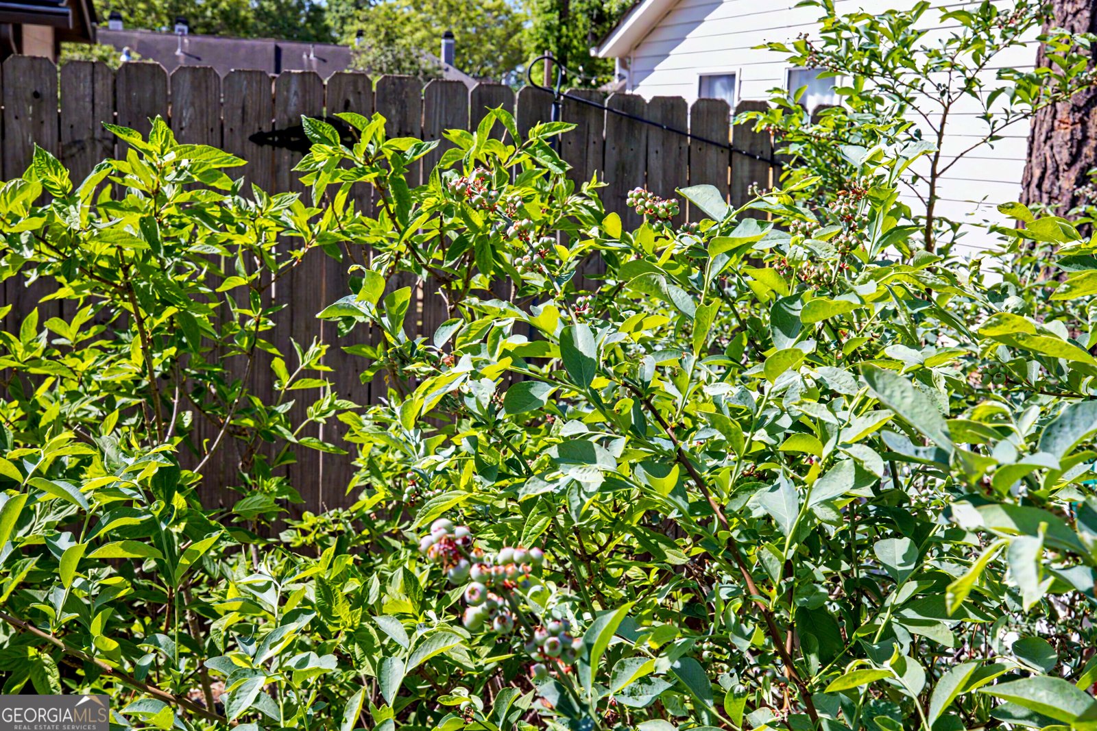 1606 Walker Street Smyrna - Photo 42