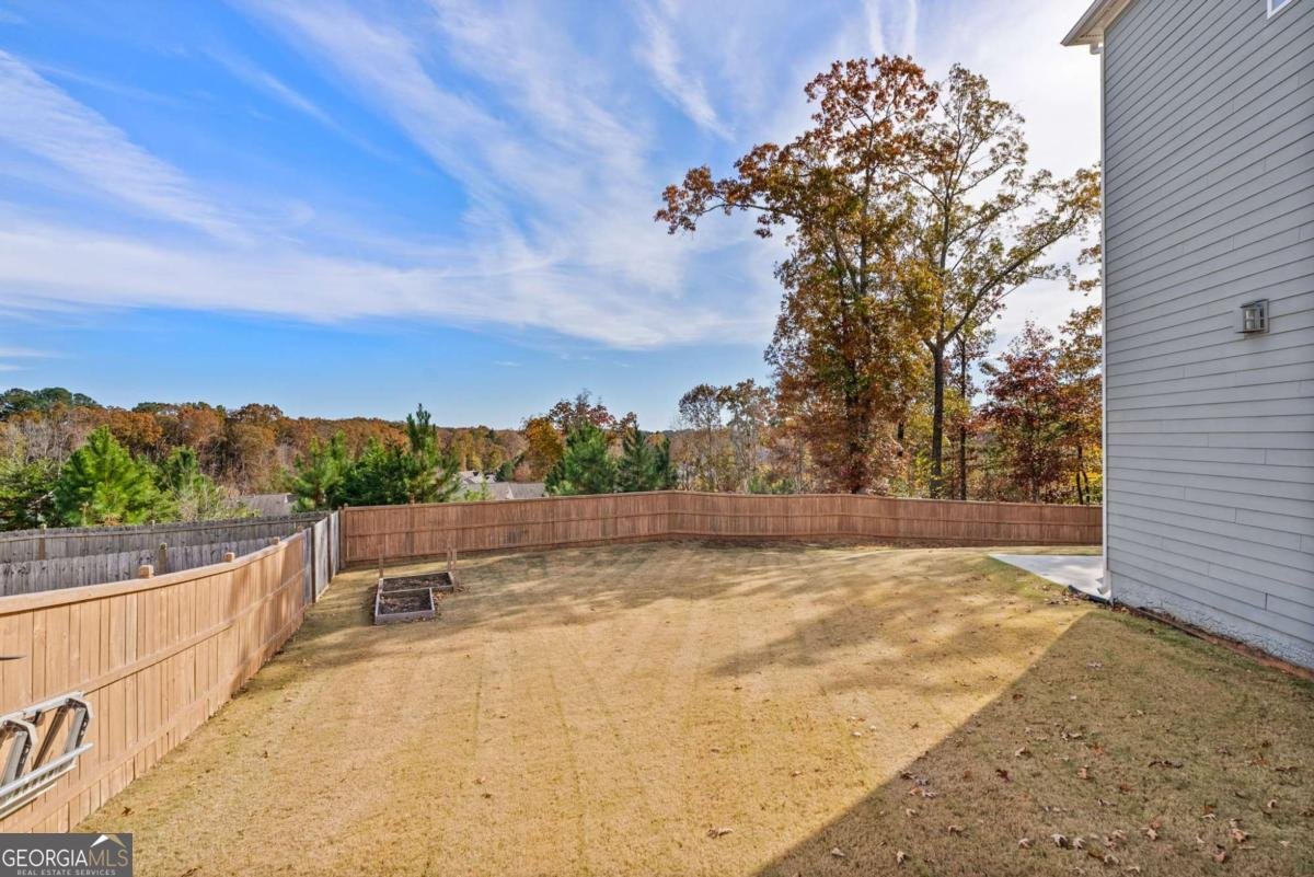 203 Augusta Walk Canton - Photo 52