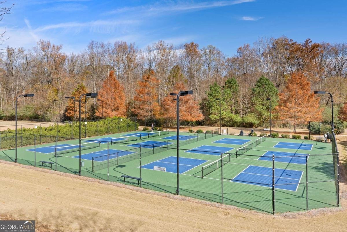 203 Augusta Walk Canton - Photo 69