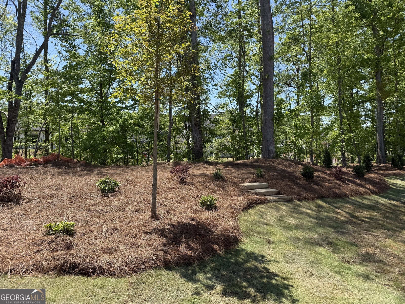 2855 Medford Drive Cumming - Photo 61