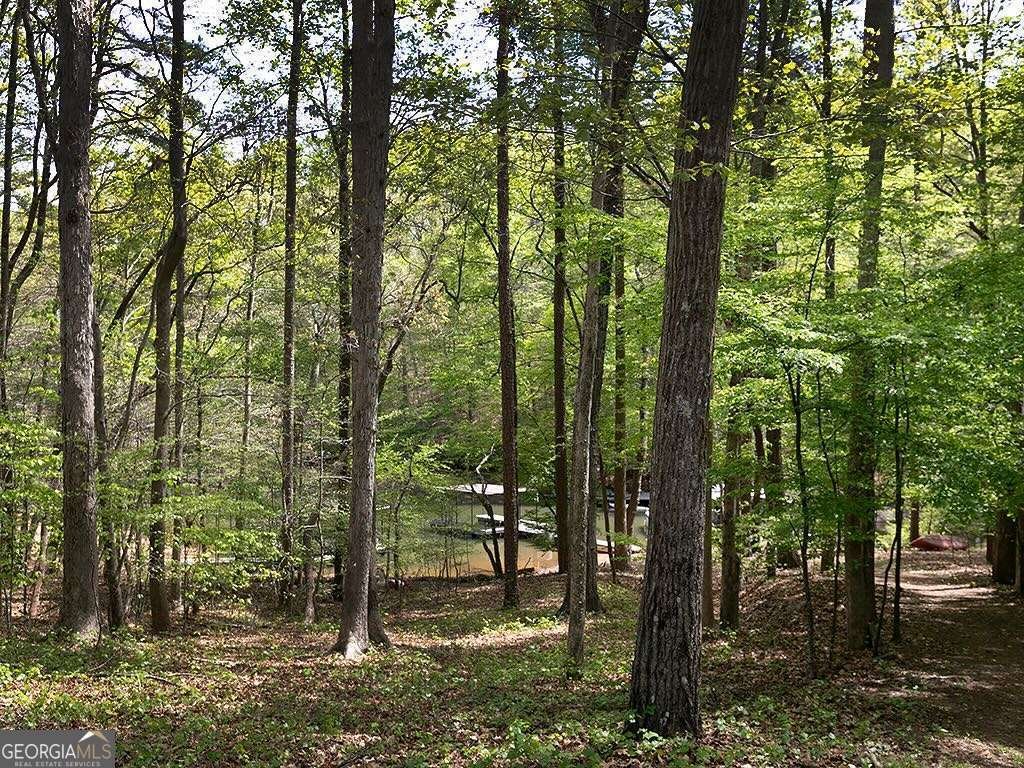 7135 Haw Creek Place Gainesville - Photo 35