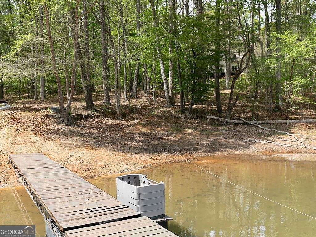 7135 Haw Creek Place Gainesville - Photo 38