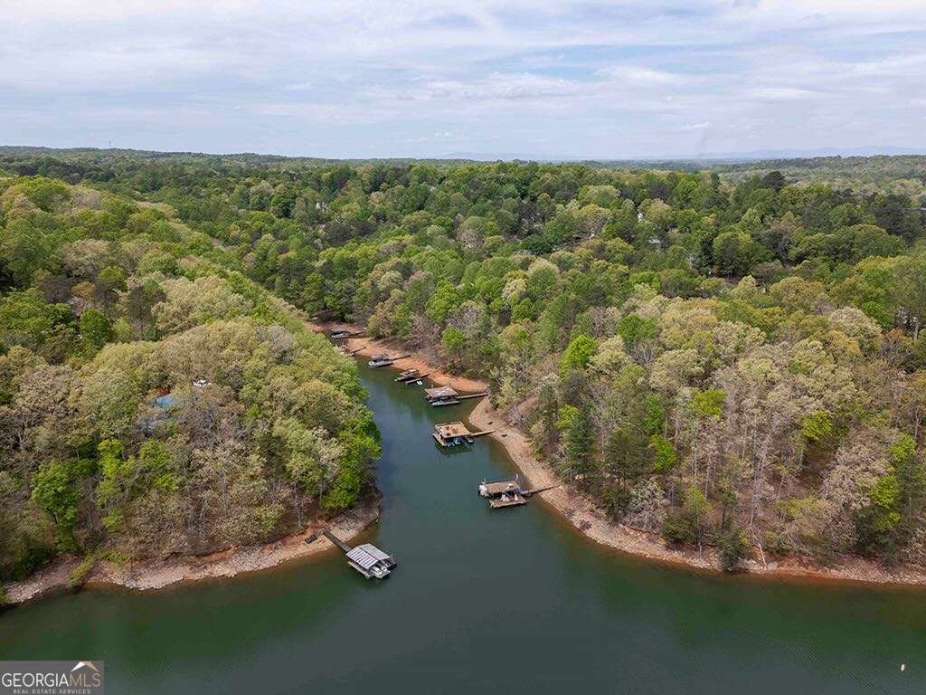 7135 Haw Creek Place Gainesville - Photo 53