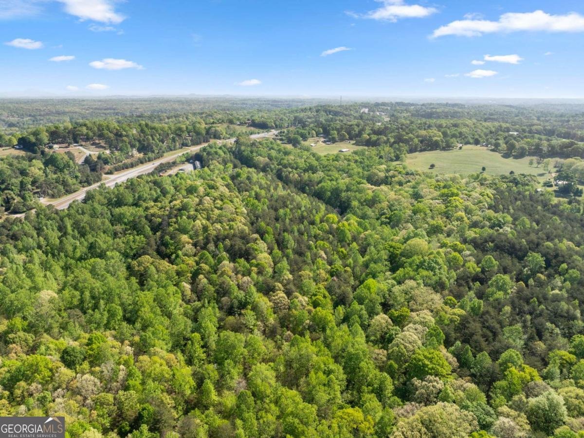 3031 Dawsonville Highway Gainesville - Photo 49