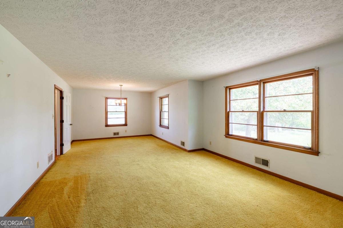 1200 McRees Gin Road Watkinsville - Photo 11