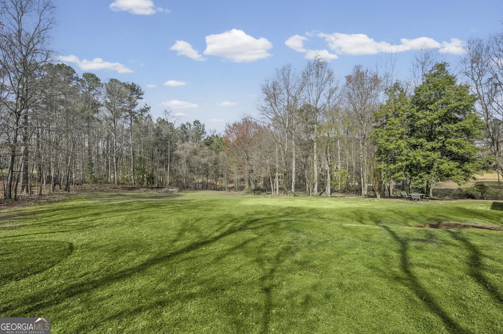 575 Gantt Road Canton - Photo 69