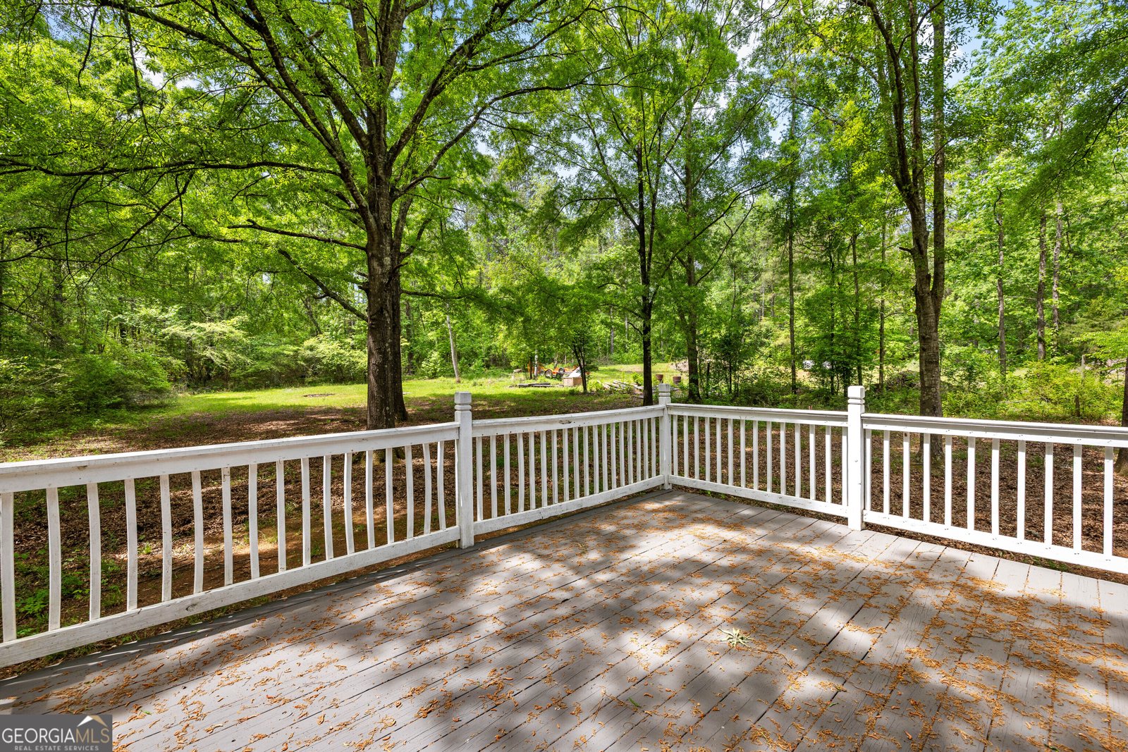 1480 Al Roberts Road Senoia - Photo 14