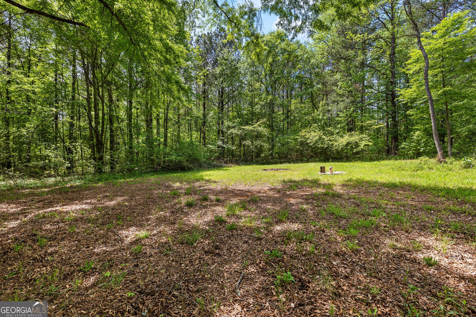 1480 Al Roberts Road Senoia - Photo 18