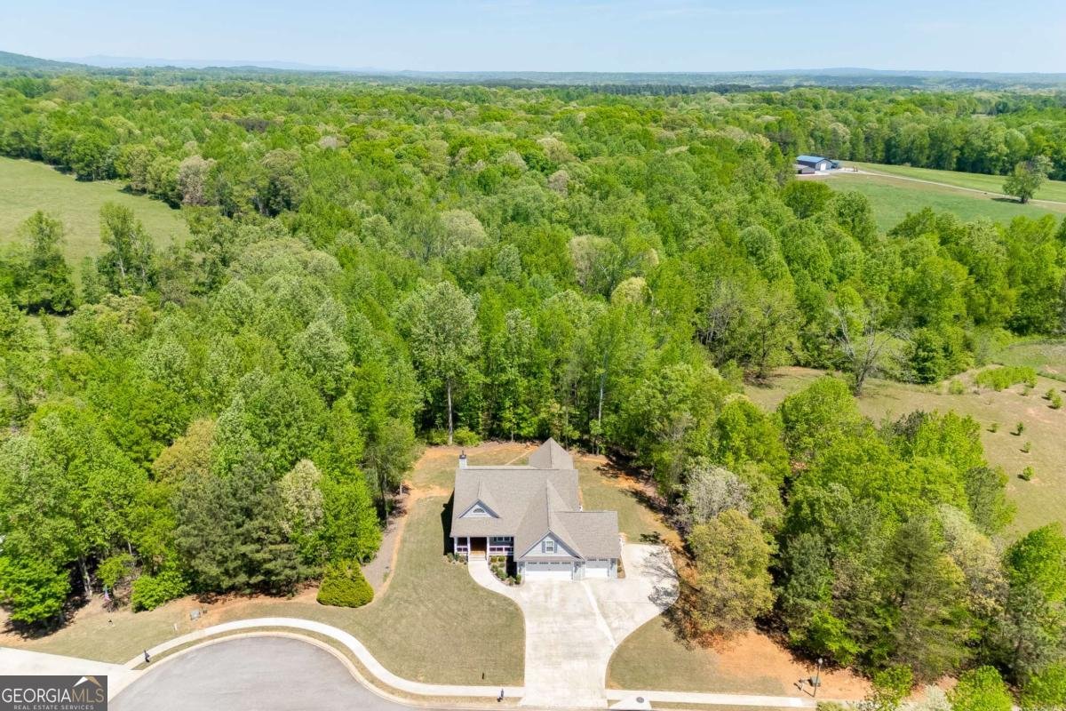 7660 Fern Lane Lula - Photo 48