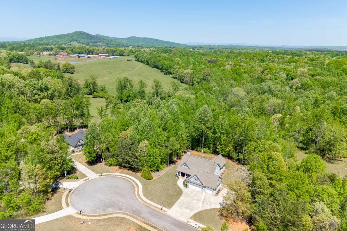 7660 Fern Lane Lula - Photo 49