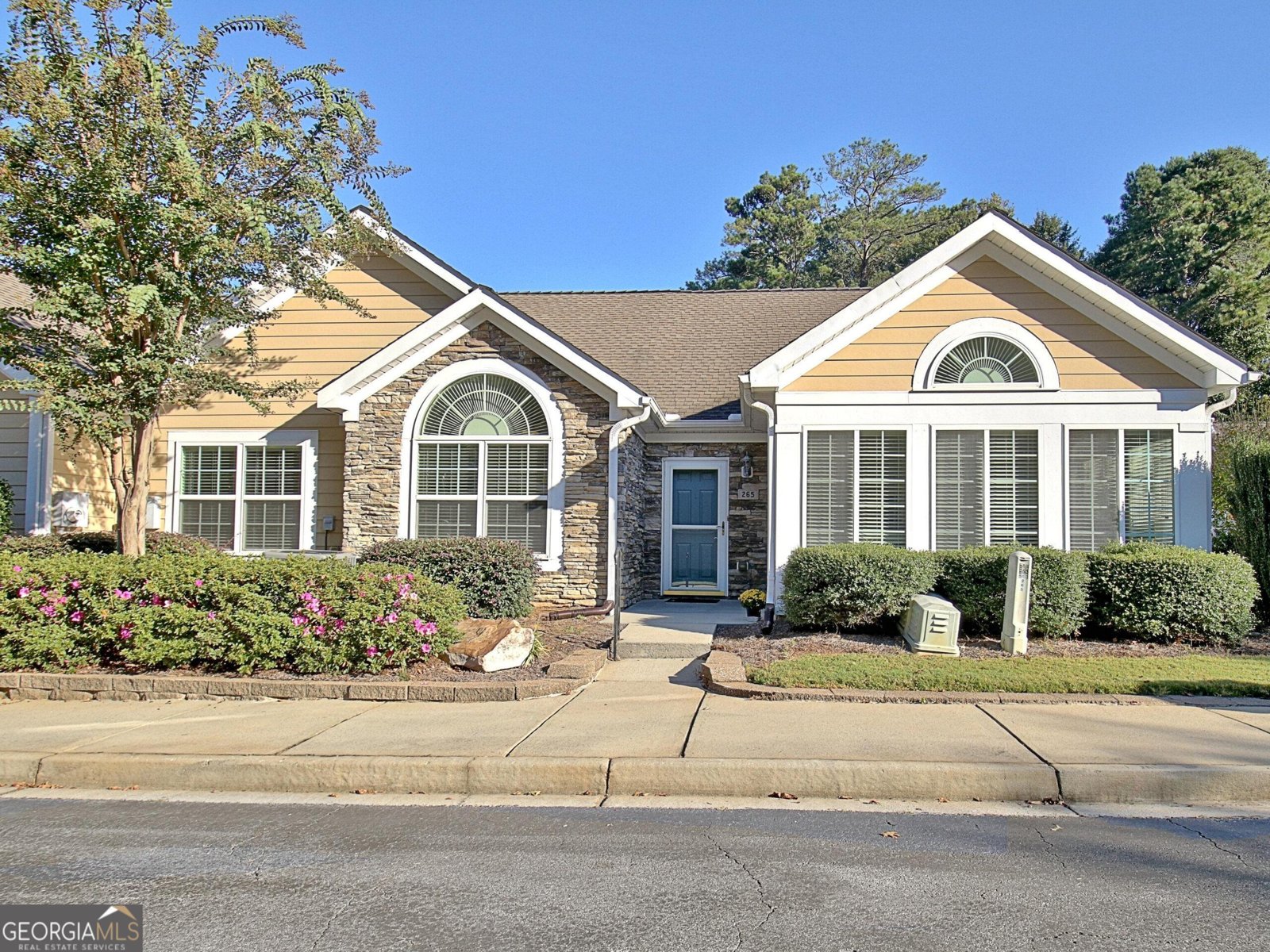 265 Rehobeth Way Fayetteville - Photo 1