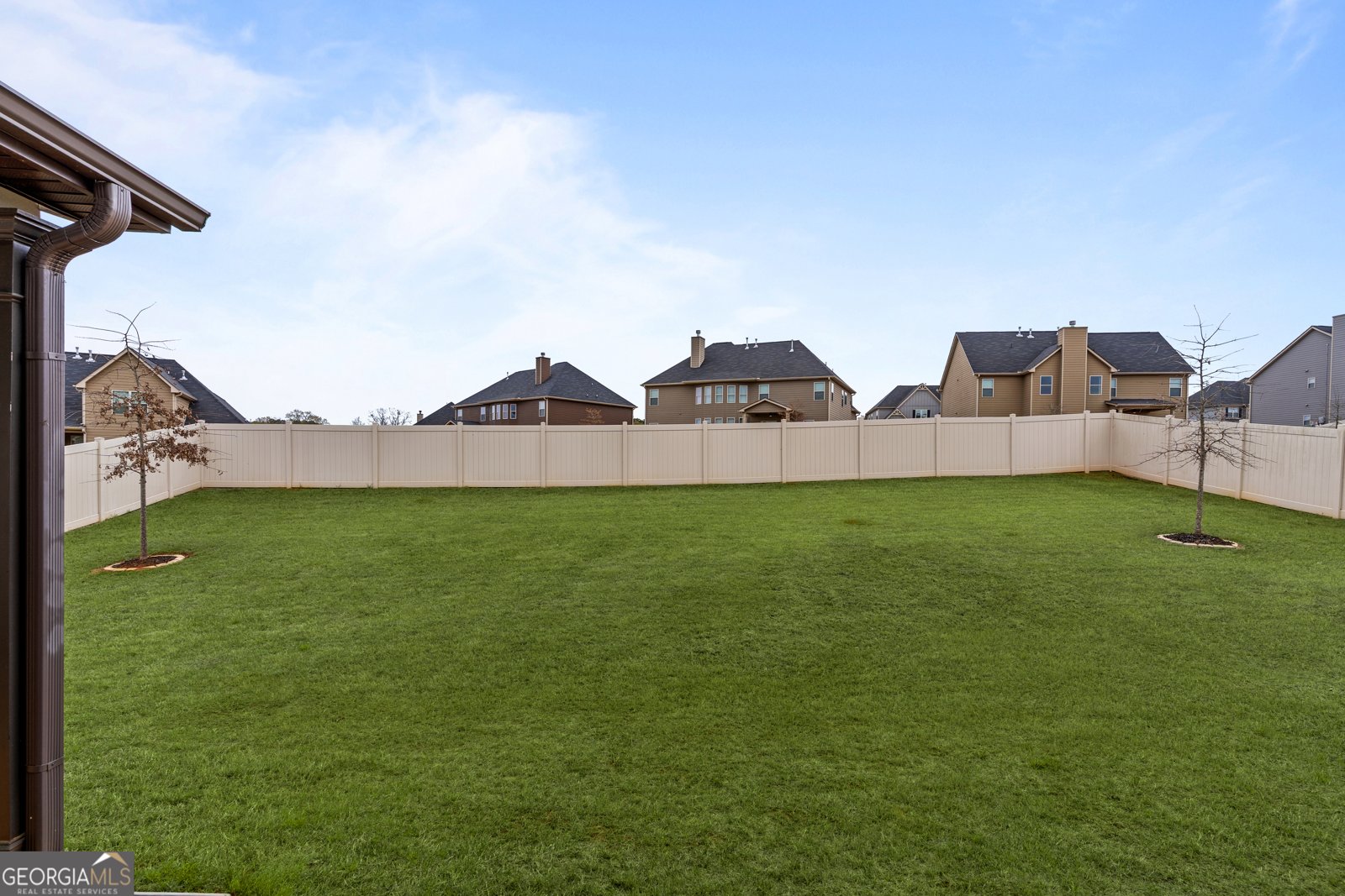 263 Osier Drive Mcdonough - Photo 39