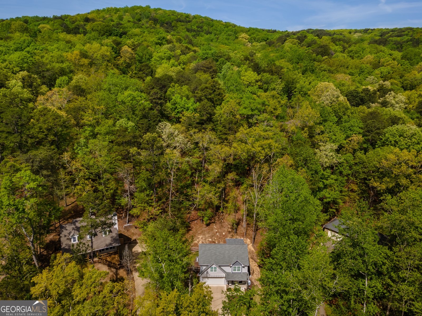 114 Council Oak Loop Waleska - Photo 32