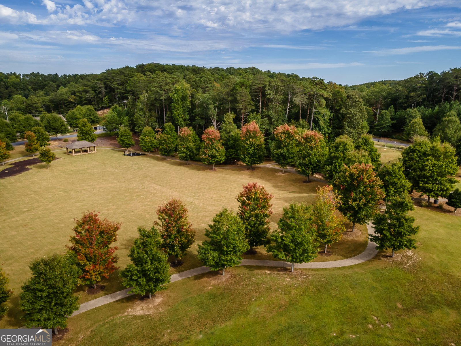 114 Council Oak Loop Waleska - Photo 44