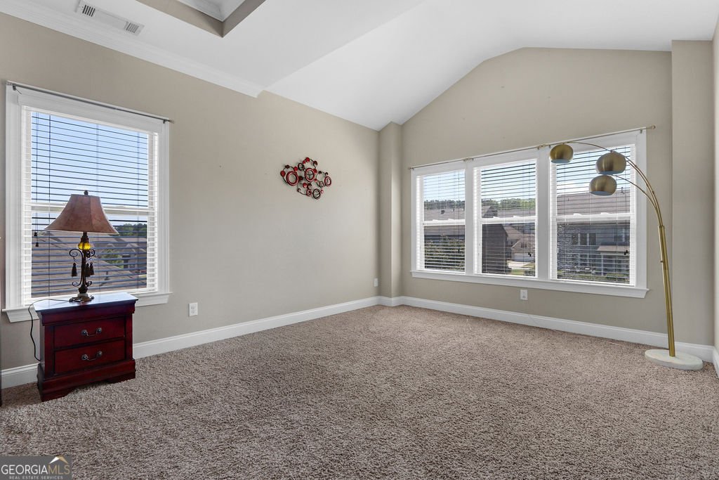 4154 Hawking Drive Buford - Photo 30