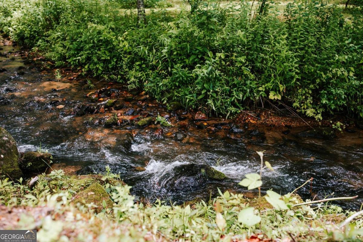 33 Pigeon Creek Drive Blue Ridge - Photo 12