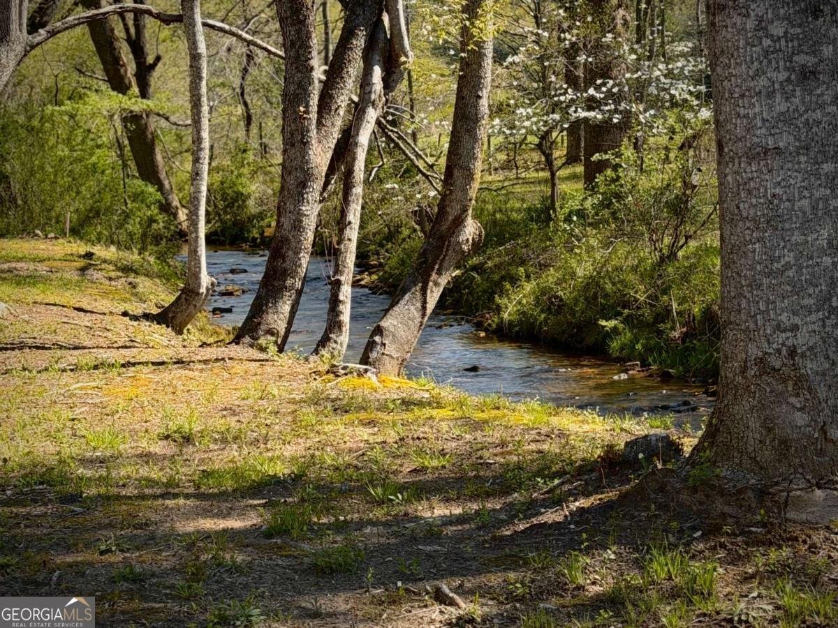 33 Pigeon Creek Drive Blue Ridge - Photo 90