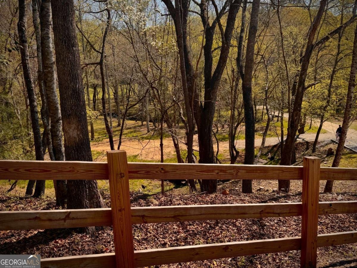 33 Pigeon Creek Drive Blue Ridge - Photo 92