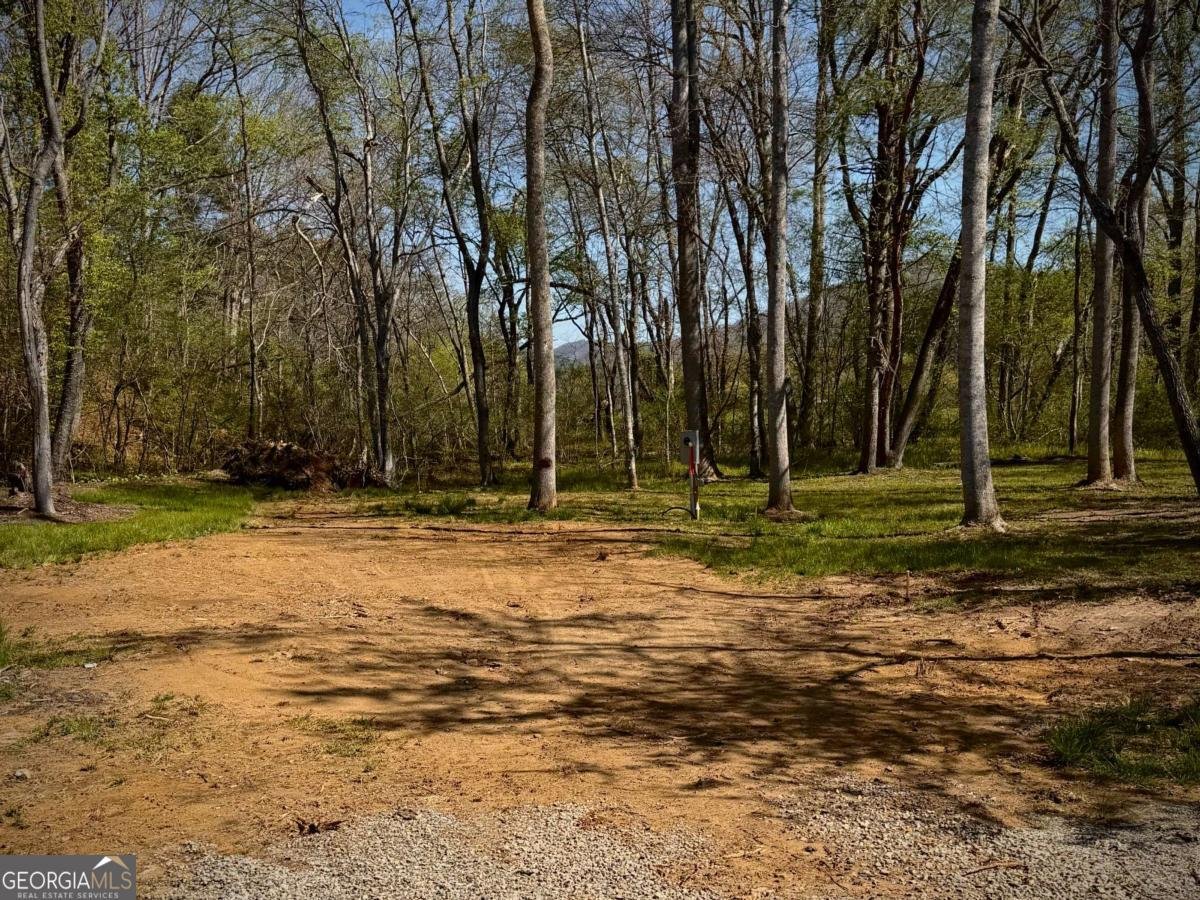 33 Pigeon Creek Drive Blue Ridge - Photo 94