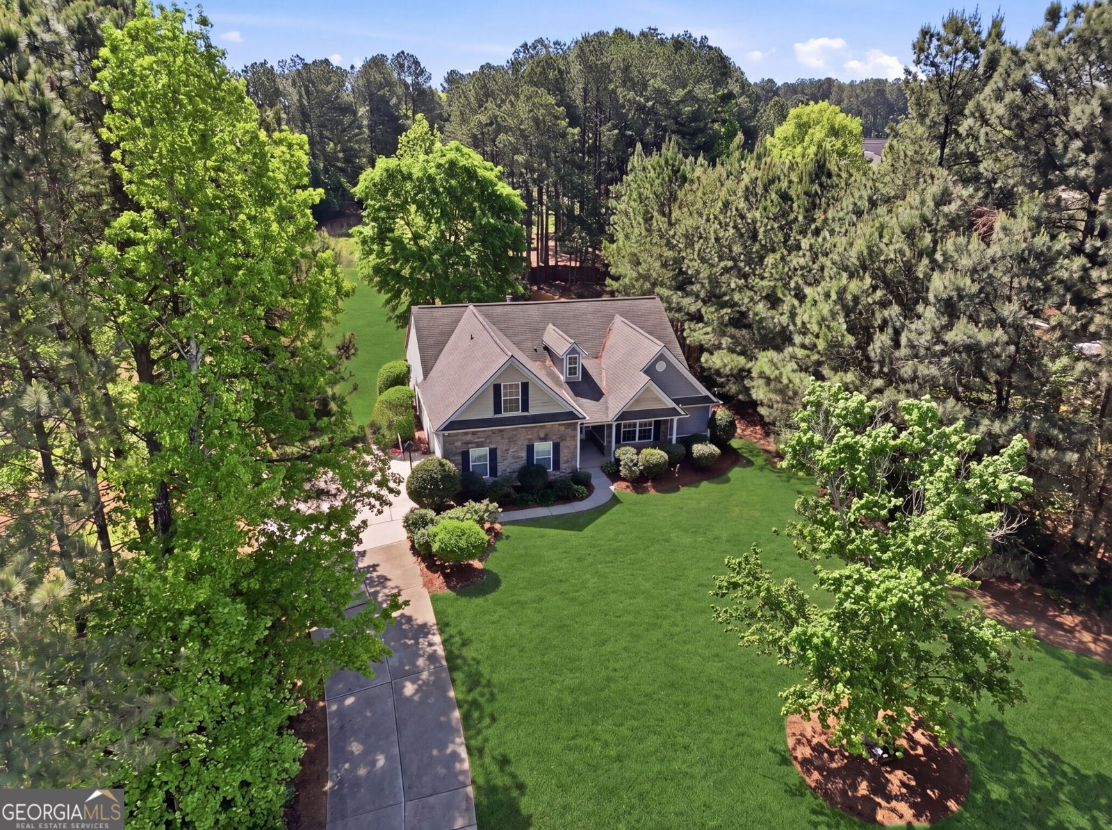 4585 White Horse Drive Braselton - Photo 1