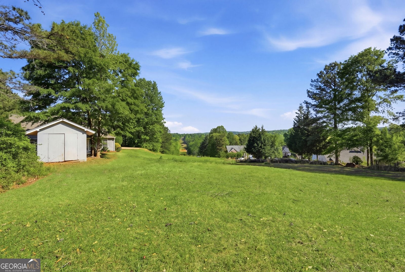 4585 White Horse Drive Braselton - Photo 38