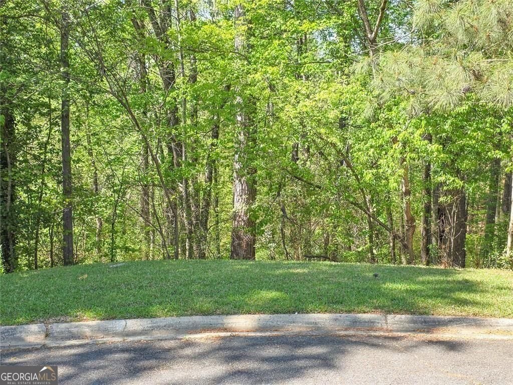 337 Westover Drive Woodstock - Photo 12