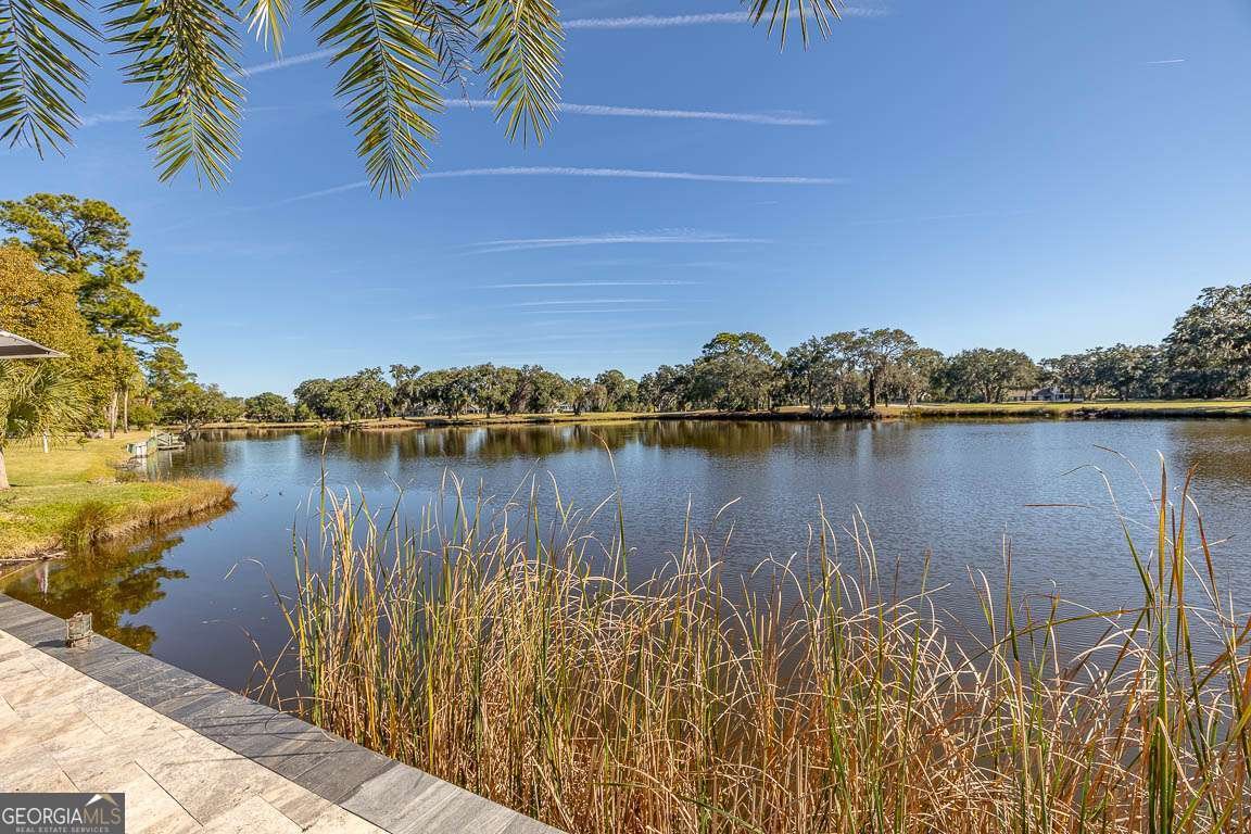 1412 Windward Drive St. Simons - Photo 58