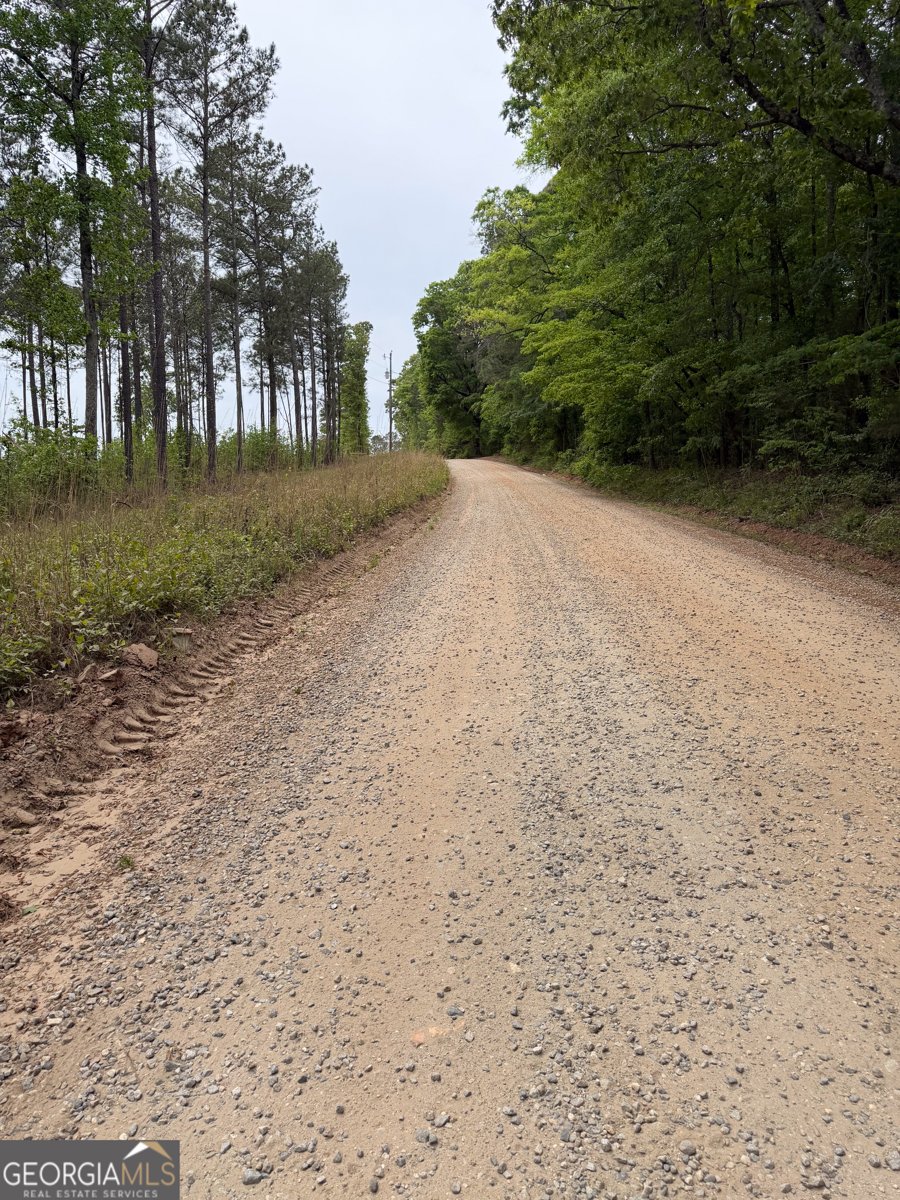 3385 Ga Highway 83 Monticello - Photo 11